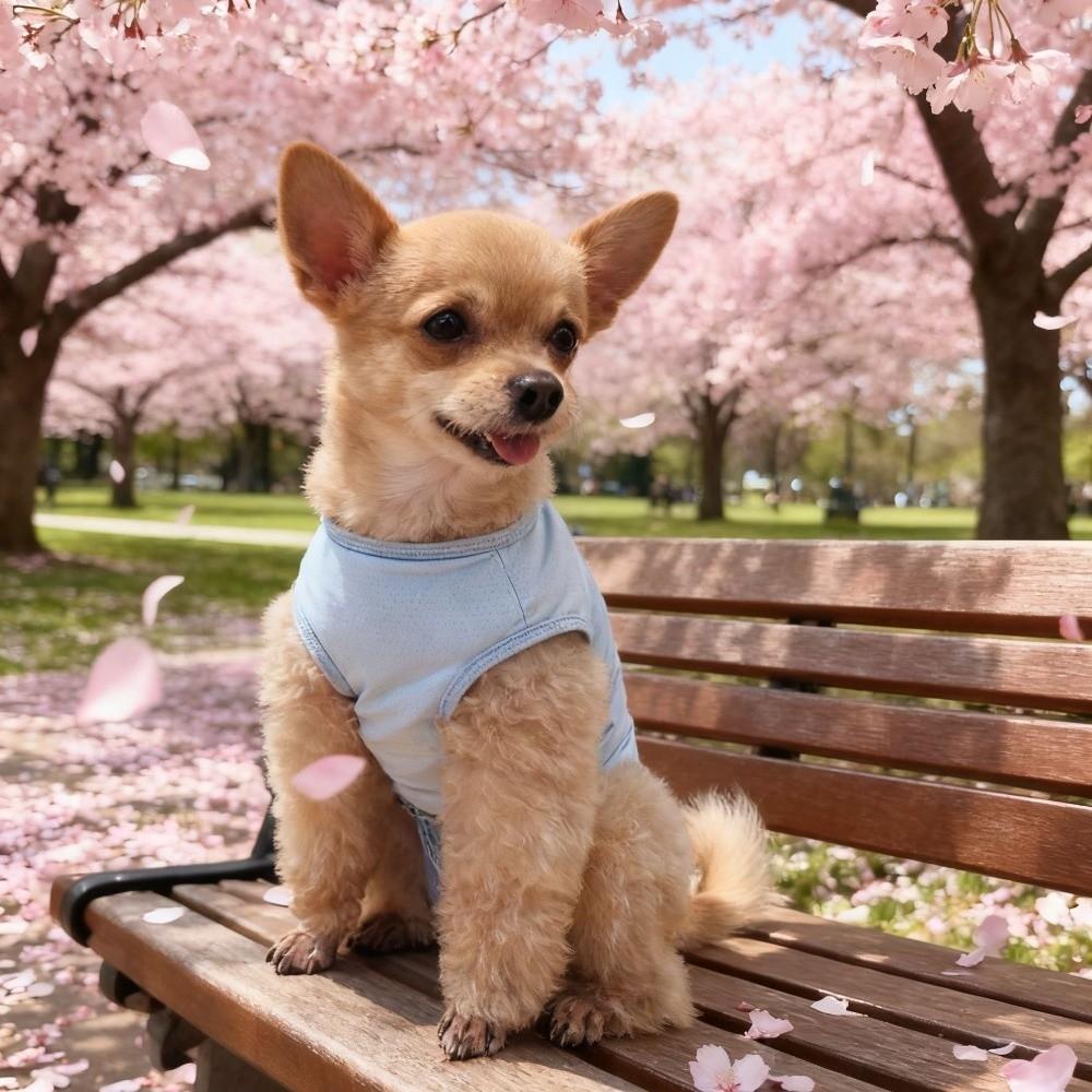 Breathable Cat Recovery Suit Soft Pet Anti-Lick Cloth Pet Sterilization Suit  Spayed/Neutered