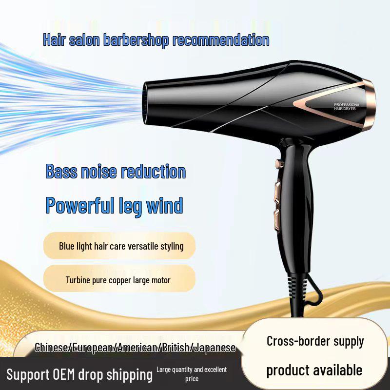 High-Power Electric Hair Dryer for Salon & Home - Fast Dry, Hot/Cold Wind, Blue Light Hair Care