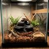 Realistic Texture Fish Tank Rockery Ornaments 3D Printing Fish Hiding Cave  Fish Tank Decoration