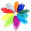 10Pcs Natural Dyed Fluffy Soft Ostrich Feather For Craft Diy Needlework Feathers Jewelry Making Dress Wedding Decoration 25-30Cm