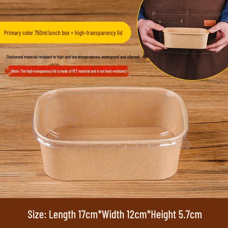 Disposable Outdoor Picnic & Bento Box