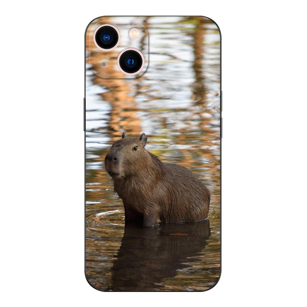 Black tpu Case For Samsung galaxy A3 A5 A7 2016 2017 2018 cover Capybara