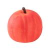 Slow Rising Fruit Toy Soft TPR Fruit Squeeze Toy Clear Sensory Fidget Toy for Anxiety Stress Relief Novelty Gift for Kids Adults