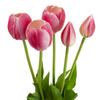 CV31218-4 BOUQUET OF TULIPS FOAM RUBBER X 5 Pcs YELLOW PERFORATED REALISTIC
