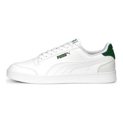 Shuffle Shock Absorbing Durable Low Top Skate Shoes Unisex Sneakers White Green 309668-25