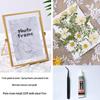 Nordischer Stil Geometrischer Metall-Glas-Fotorahmen für Trockenblumen - DIY Geprägte Pflanzen specimen Anzeige, Kreatives Gold, Größen 4x6 & 7 Zoll