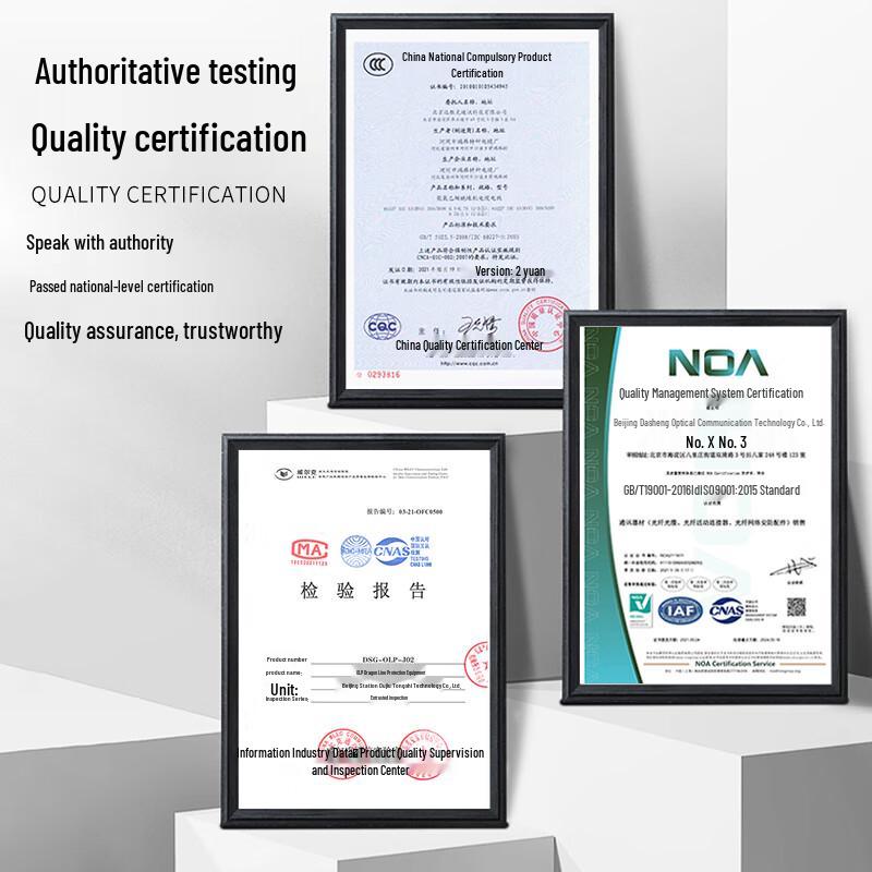 Dasheng Light Fiber Optic Network Devices