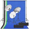 Vidaxl Photographic Studio Set with Lamps and Backdrops