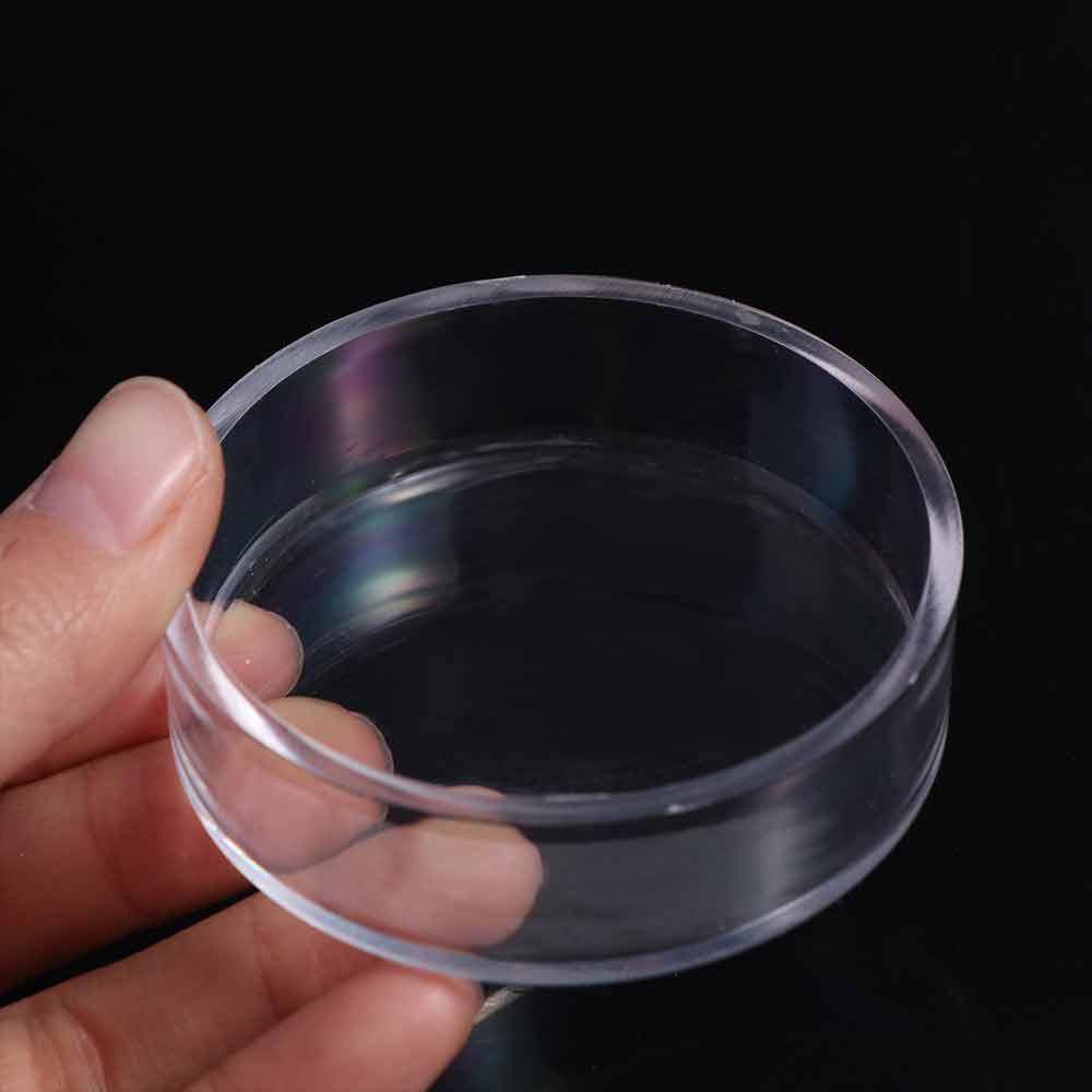Accessories Durable Transparent Fish Feeding Dish Fish Feeding Bowl Shrimp Feeder Shrimp Food Box