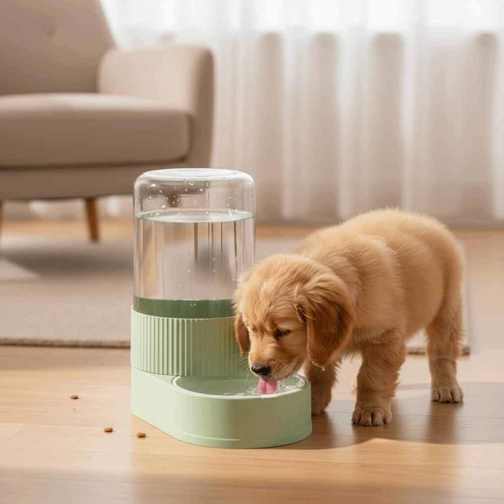 Large Capacity Gravity Food Bowl Transparent Pet Water Dispenser Pet Water Fountain  Daily Feeding