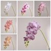 May Breeze Seven-Head Phalaenopsis Artificial Flowers for Wedding & Home Decor