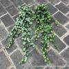 1Pc Simulation 25.6-inch Hand-feel Ivy Sweet Potato Leaf Vine Wall Hanging