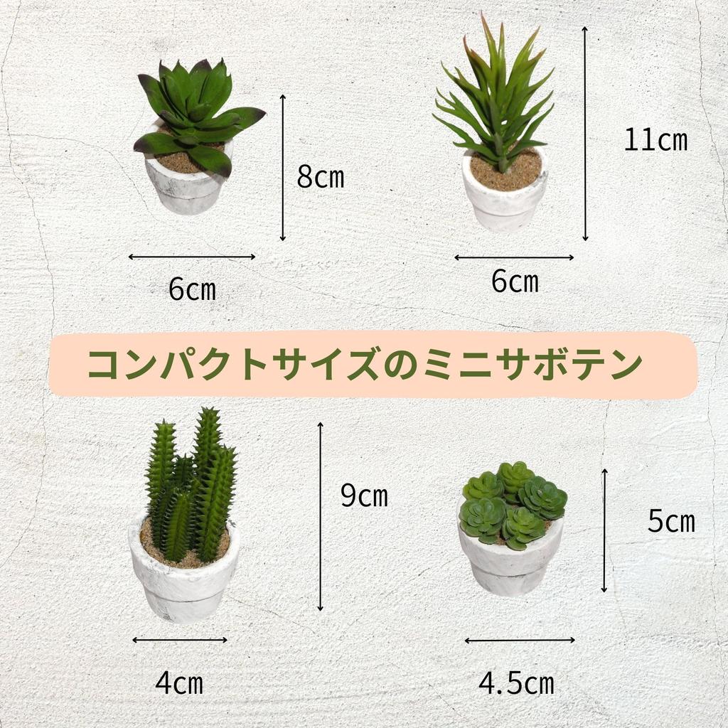 12-Piece Mini Cactus Assortment Set, Faux Greenery, Perfect for Home Decor, Desks, Kitchen Counters, and Store Decor. Perfect for Everlasting Plants.