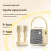 DianYin K-song Bluetooth Karaoke Speaker System