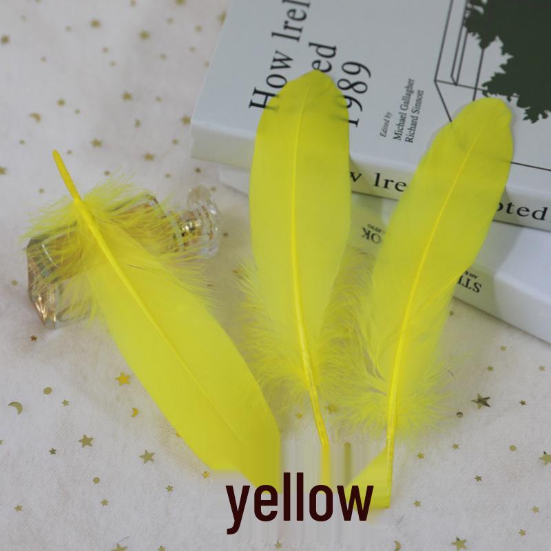 Barevná barvená velká husí pera pro DIY řemesla, ručně vyráběné dekorace a projekty pro mateřské školy