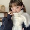 WTEMPO Women's Thickened Windproof Cold-proof Casual Scarves Soft Solid Color Winter Warm Faux Fur Scarves