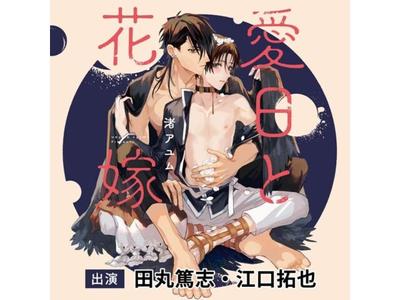 CD de drama Aijitsu para Hanayome 2 discos FACA-392 Takuya Eguchi, Atsushi Tamaru BL