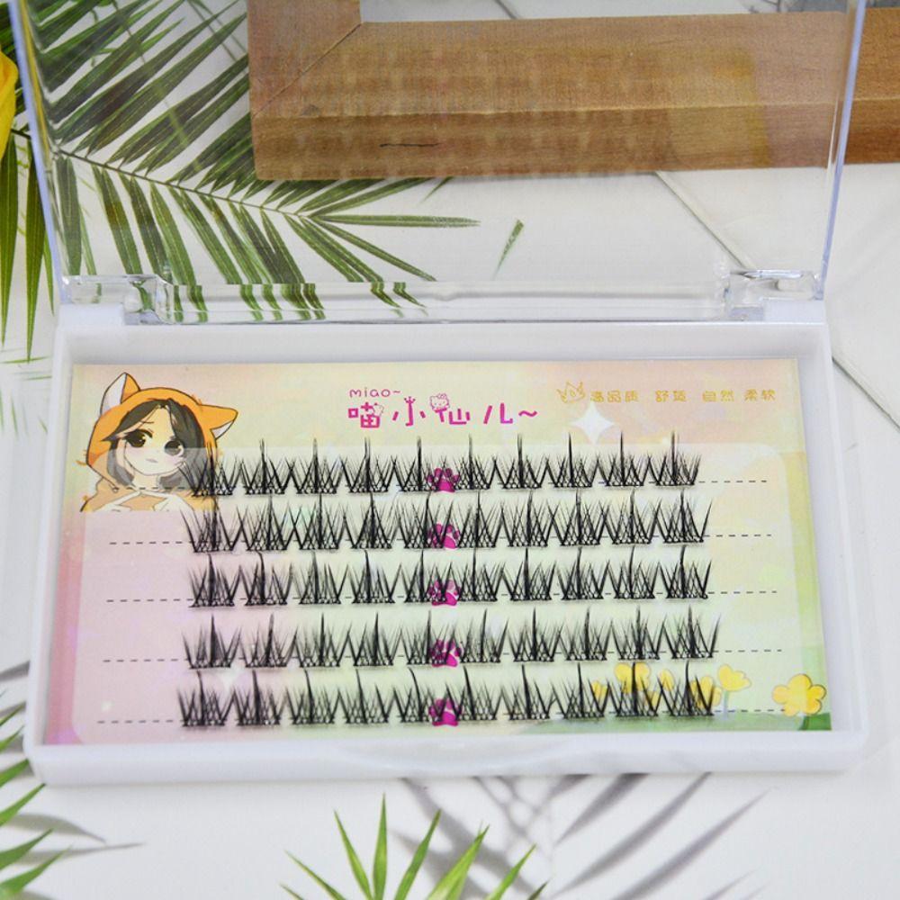 DIY Individual Cluster Eyelashes Lashes Extension Segmented Eyelashes Bundles  DIY