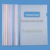 A4 Transparent Plastic Document Folder with Pull Rod Clip