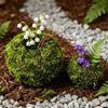 Mosbold Blomsterpotte, Naturlig Grøn Bonsai Planteholder, Dekorativ Mosbold Planteholder til Hjem, Have, Bryllupsfest Dekoration