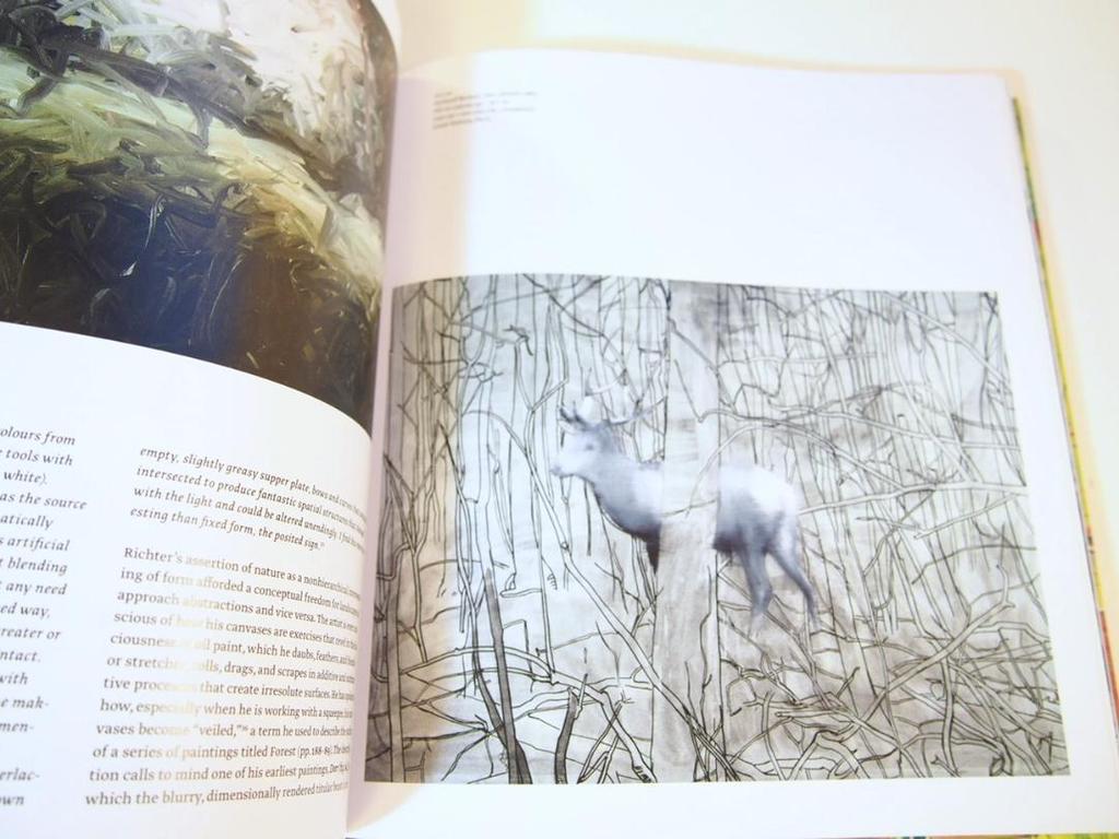 [USED] Gerhard Richter Painting After All