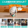 Hoochii Cheerble Dog Ball [2025 Enhanced] Automatic Interactive Toy with 3 Modes, Made of Natural Rubber, Safe Materials, DC 2.5 Rechargeable, Stress