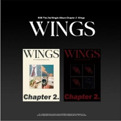 BXB - Chapter 2. Wings Random