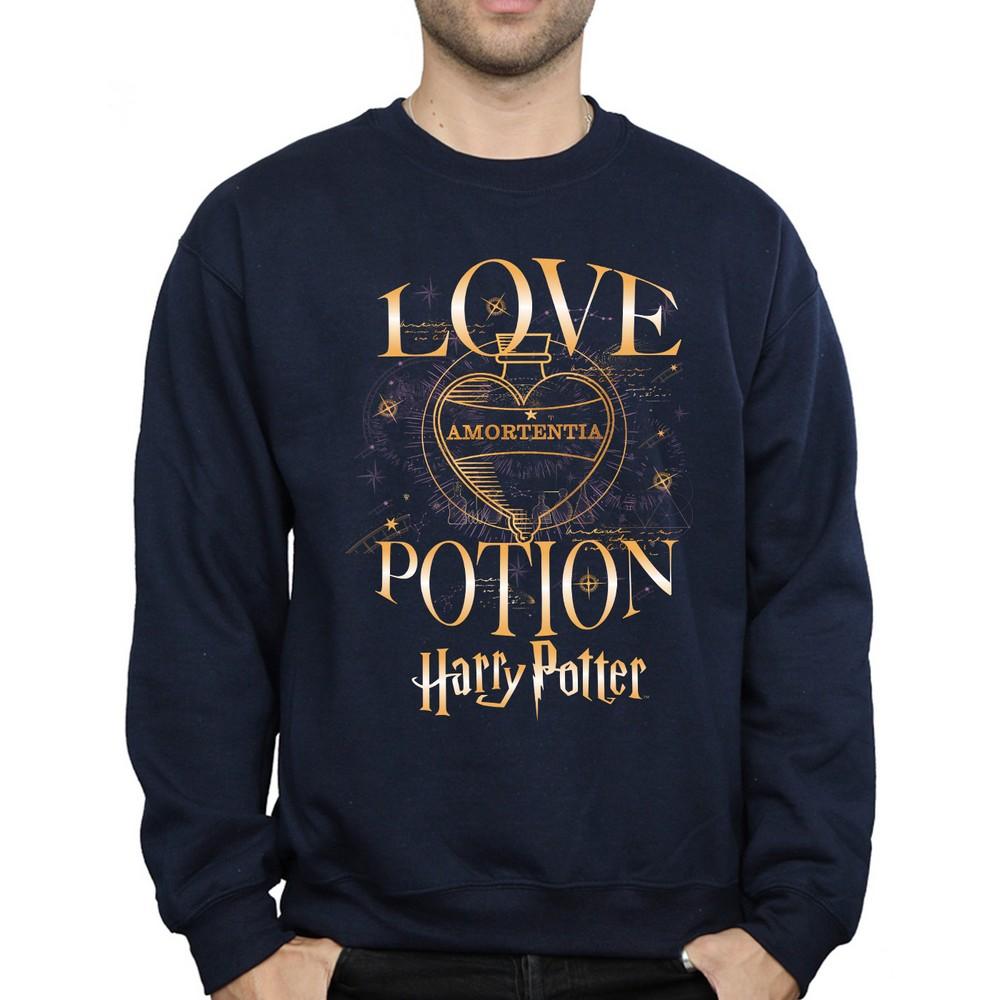 HARRY POTTER Mens Love Potion Sweatshirt