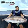 VARIVAS Avani Shock Leader SMP Nylon Natural Violet 30m 300LB