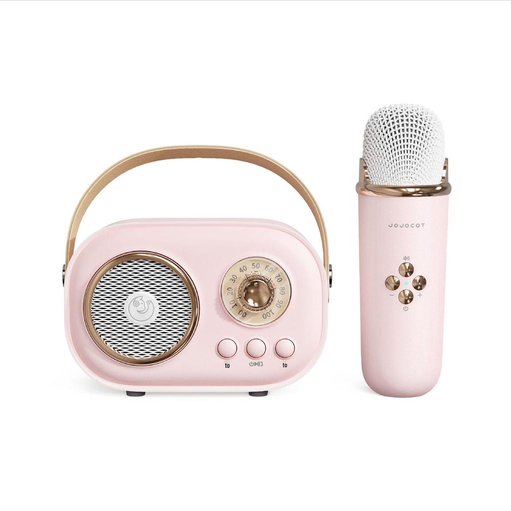 Children's Wireless Bluetooth Karaoke & Education Microphone Speaker