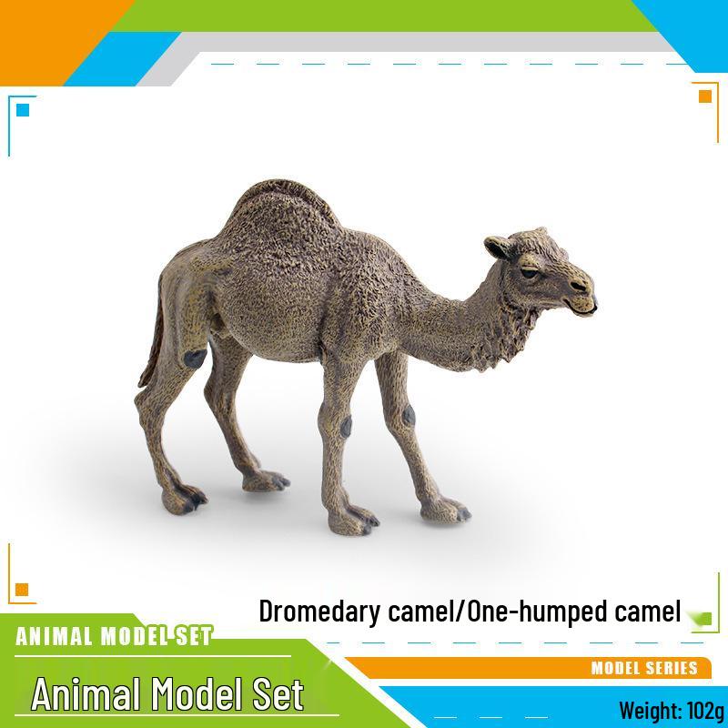 Wild Desert Camel Model for Children s Cognitive Learning: Single and Double-Humped Camel Ornament
