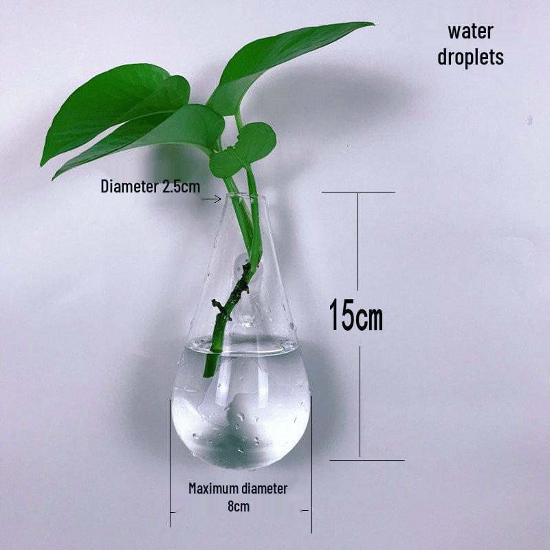 Creative Wall-Mounted Transparent Glass Vase for Plants and Fish