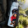 1PC Red Collar Dachshund Dog Print 750ml Color Plastic Sports Water Bottle Leakproof Flip Straw Lid Suitable for Sports Office Home Use
