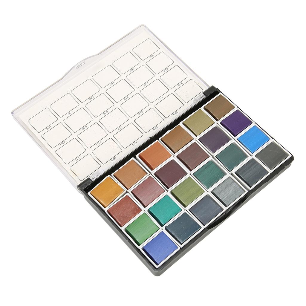 Set di Pittura ad Acquerello da 24 Colori Effetto Perlescente Retrò Elevata Resa Cromatica Set Acquerelli per Disegno Nail Art