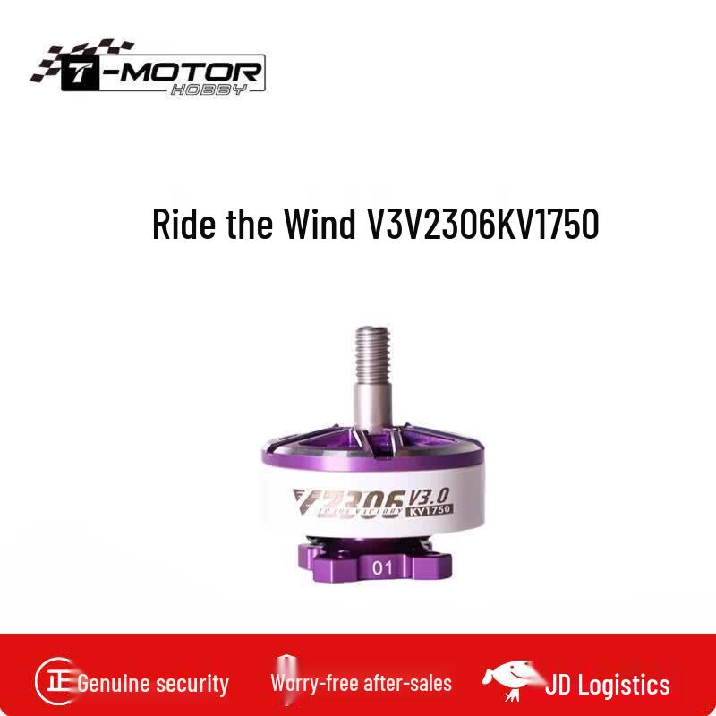 

T-MOTOR HOBBY V2306 KV1750 FPV Brushless Motor
