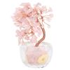 Feng Shui Money Tree Positive Energy Good Fortune Money Tree Decoration for Wealth and Luck Home