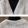 Spring Autumn Women's Plush Coat Simple Short V-Neck Faux Fur Coat