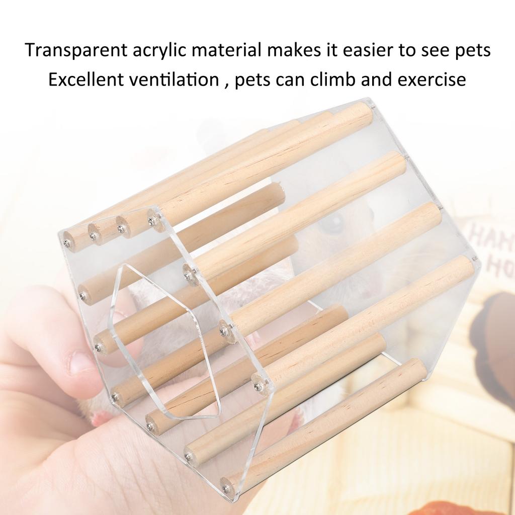Minimalist Pentagonal Hamster Wooden House Ventilated Transparent Hamster Cabin for Hamster Golden Br