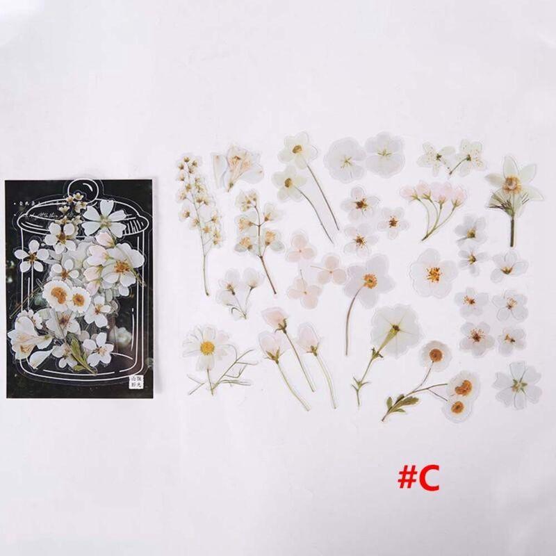 Sticker Pack PET DIY Hand account diary Material stickers Stickers Fresh plants