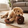Runde Form Hundekauspielzeug Ring Plüschoberfläche Welpen Spielzeug Quietschendes Haustierspielzeug Tägliche Haustierunterhaltung