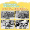 [Popular Carrots & Slippers] Dog Toy Set of 4, Dog Rope Toy, Stress Relief, Teeth Brushing, Dog Toy, Dog Toy, Chew Rope, String Toy for Dogs, Pets,