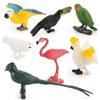 Small Hummingbird Animal Model Pvc Nature Scene Display For Childrens Classroom Use