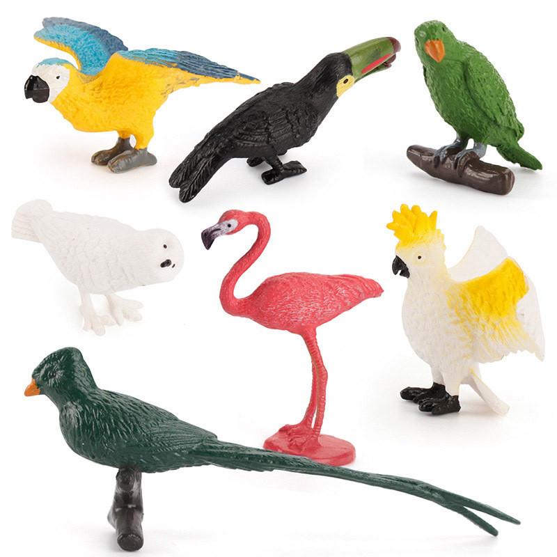Small Hummingbird Animal Model Pvc Nature Scene Display For Childrens Classroom Use