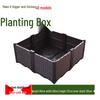 Extra Large Yellow-Edged Rooftop & Balcony Vegetable Planter Box