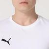PUMA Men's Summer Short Sleeve Shorts Sport Set