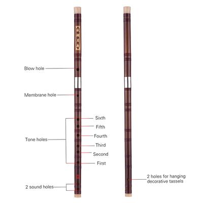 Pluggable Bitter Bamboo Flute Dizi Traditional Handmade Chinese Musical Woodwind Instrument Key of C Study Level