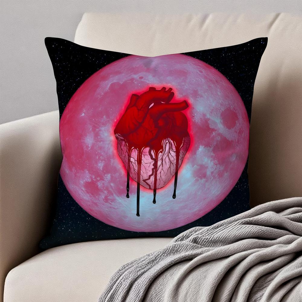Album Cover CChris BBrown Cushion Cover Pillowcase Antidustmite Invisible Zipper Short Plush Sofa Cushion