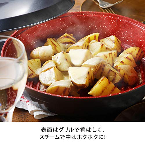 Flavorstone Healthy Grill Frying Pan with Lid, Perfect for Grilling Fish, Meat, and Steaks, Non-Stick, Gas Stove Compatible, Induction Compatible