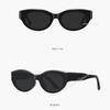 New Trendy European American Cat Eye Sunglasses Fashionable Hip-hop Sunglassess Outdoor Skiing Casual Sunglasses Gafas De Sol