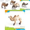 Animal Wildlife Pvc Model Single Hump Camel Decorative Toy For Kids Educational Gift